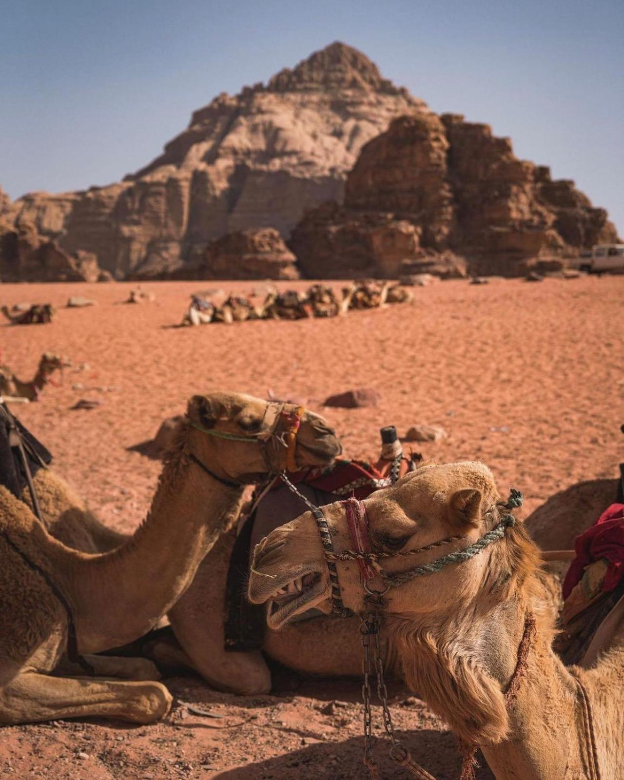 Apartment Eva Luxury Camp Wadi Rum